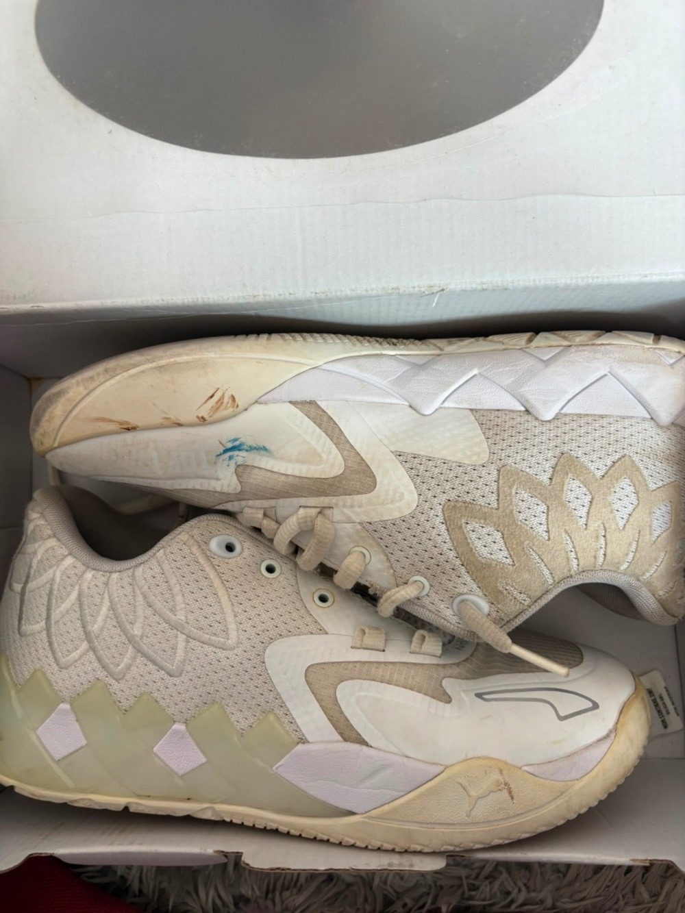 Puma